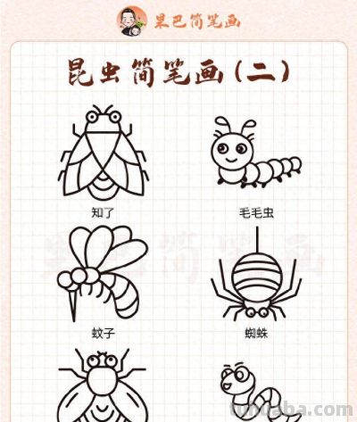 各种昆虫简笔画，喜欢的存好了