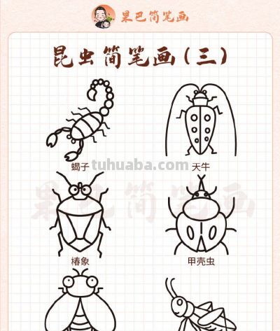 各种昆虫简笔画,喜欢的存好了 - 今日头条 各种昆虫简笔画,喜欢的存好了 - 图画吧TUHUABA