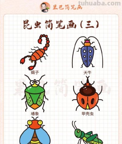 各种昆虫简笔画,喜欢的存好了 - 今日头条 各种昆虫简笔画,喜欢的存好了 - 图画吧TUHUABA