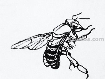 蝉 蜜蜂白描17只