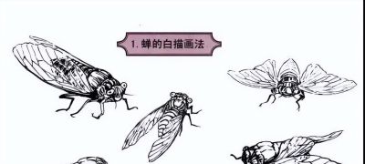 探索昆虫百态,白描草虫画法的必备指南 - 今日头条 探索昆虫百态,白描草虫画法的必备指南 - 图画吧TUHUABA