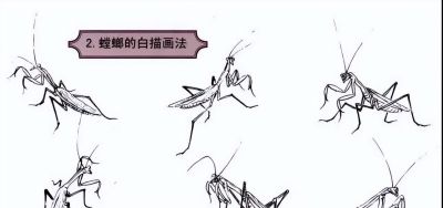 探索昆虫百态,白描草虫画法的必备指南 - 今日头条 探索昆虫百态,白描草虫画法的必备指南 - 图画吧TUHUABA