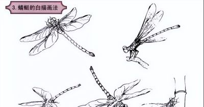 探索昆虫百态,白描草虫画法的必备指南 - 今日头条 探索昆虫百态,白描草虫画法的必备指南 - 图画吧TUHUABA