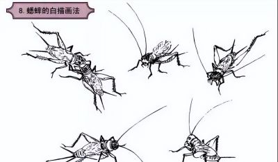 探索昆虫百态,白描草虫画法的必备指南 - 今日头条 探索昆虫百态,白描草虫画法的必备指南 - 图画吧TUHUABA