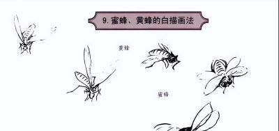 探索昆虫百态,白描草虫画法的必备指南 - 今日头条 探索昆虫百态,白描草虫画法的必备指南 - 图画吧TUHUABA