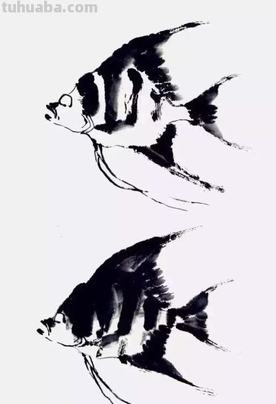 水墨丹青绘生灵:神仙鱼与草虫的写意技法解析 - 今日头条 水墨丹青绘生灵:神仙鱼与草虫的写意技法解析 - 图画吧TUHUABA
