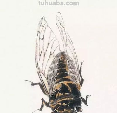 水墨丹青绘生灵:神仙鱼与草虫的写意技法解析 - 今日头条 水墨丹青绘生灵:神仙鱼与草虫的写意技法解析 - 图画吧TUHUABA