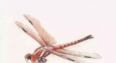 水墨丹青绘生灵:神仙鱼与草虫的写意技法解析 - 今日头条 水墨丹青绘生灵:神仙鱼与草虫的写意技法解析 - 图画吧TUHUABA