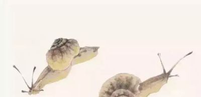 水墨丹青绘生灵:神仙鱼与草虫的写意技法解析 - 今日头条 水墨丹青绘生灵:神仙鱼与草虫的写意技法解析 - 图画吧TUHUABA