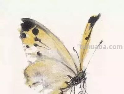 水墨丹青绘生灵:神仙鱼与草虫的写意技法解析 - 今日头条 水墨丹青绘生灵:神仙鱼与草虫的写意技法解析 - 图画吧TUHUABA