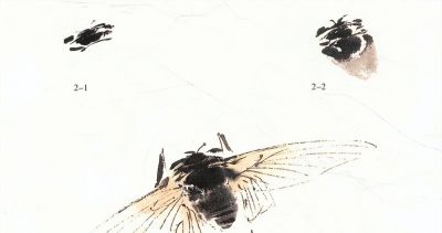 写意草虫技法:蝈蝈、蝉、蜻蜓、螳螂、蝴蝶画法解析 - 今日头条 写意草虫技法:蝈蝈、蝉、蜻蜓、螳螂、蝴蝶画法解析 - 图画吧TUHUABA