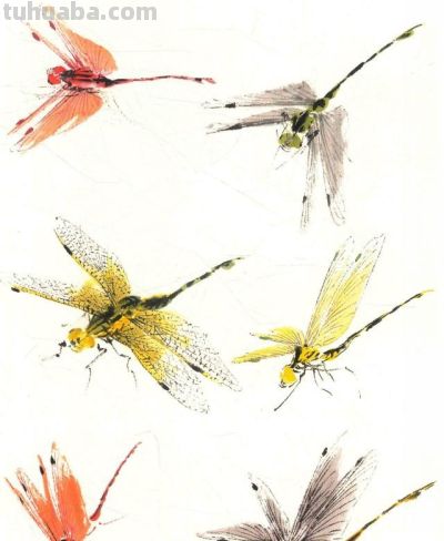 写意草虫技法:蝈蝈、蝉、蜻蜓、螳螂、蝴蝶画法解析 - 今日头条 写意草虫技法:蝈蝈、蝉、蜻蜓、螳螂、蝴蝶画法解析 - 图画吧TUHUABA