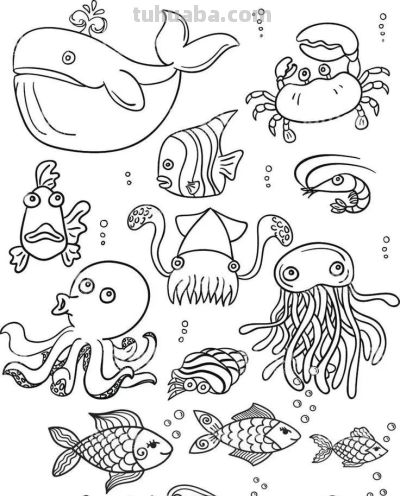 50个海洋动物简笔画 - 今日头条 50个海洋动物简笔画 - 图画吧TUHUABA