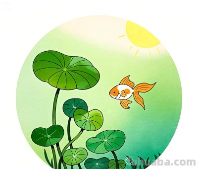 简约插画｜铜钱草和小鱼 - 图画吧TUHUABA
