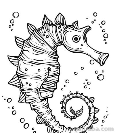 海洋动物简笔画的手绘线稿资料 - 图画吧TUHUABA