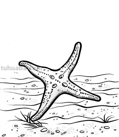 海洋动物简笔画的手绘线稿资料 - 图画吧TUHUABA