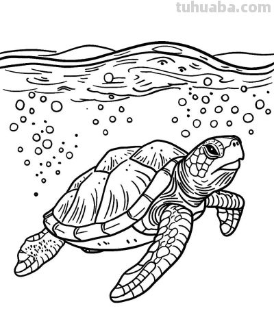 海洋动物简笔画的手绘线稿资料 - 图画吧TUHUABA
