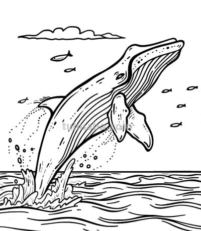 海洋动物简笔画的手绘线稿资料 - 图画吧TUHUABA