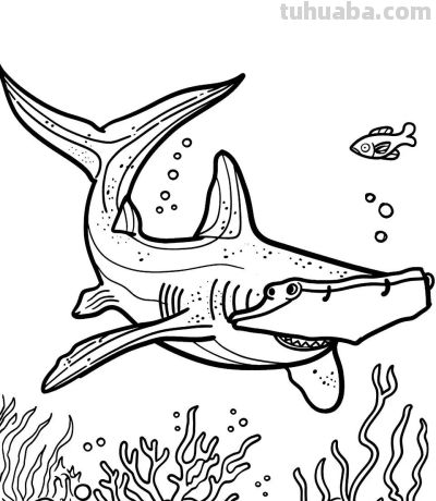 海洋动物简笔画的手绘线稿资料 - 图画吧TUHUABA