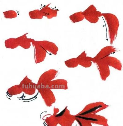 各种鱼的写意画法,简单易学! - 各种鱼的写意画法,简单易学! - 图画吧TUHUABA