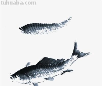 鱼的简笔画教学详解 - 鱼的简笔画教学详解 - 图画吧TUHUABA