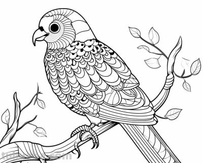 鹦鹉手绘简笔画线稿，临摹学画 - 图画吧TUHUABA