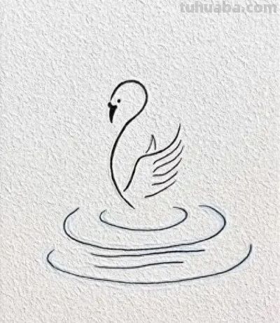 简笔画鸟，一学就会！