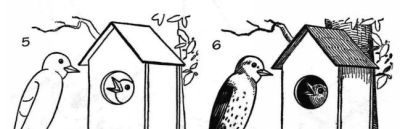 简笔画鸟，一学就会！ - 图画吧TUHUABA