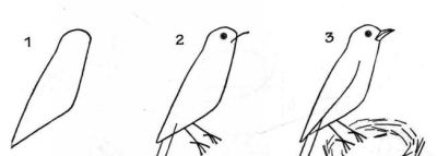 简笔画鸟，一学就会！ - 图画吧TUHUABA