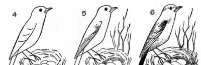 简笔画鸟，一学就会！ - 图画吧TUHUABA