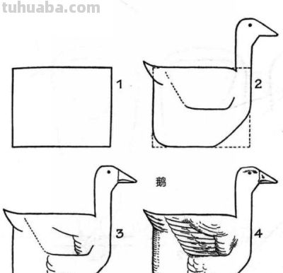 简笔画鸟，一学就会！ - 图画吧TUHUABA