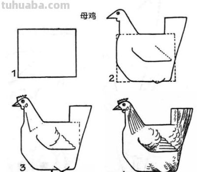 简笔画鸟，一学就会！ - 图画吧TUHUABA