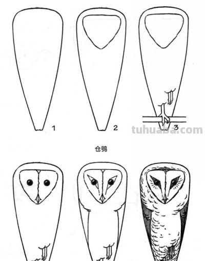 简笔画鸟，一学就会！ - 图画吧TUHUABA