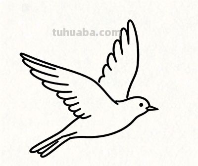 用简笔画开启孩子的想象力世界 小鸟飞翔 蝴蝶起舞 轻松学画 快乐成长