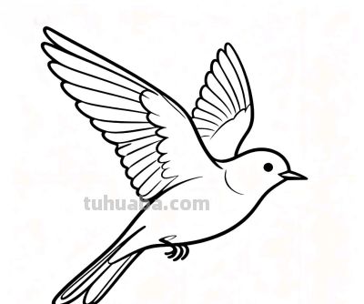 用简笔画开启孩子的想象力世界 小鸟飞翔 蝴蝶起舞 轻松学画 快乐成长 - 图画吧TUHUABA