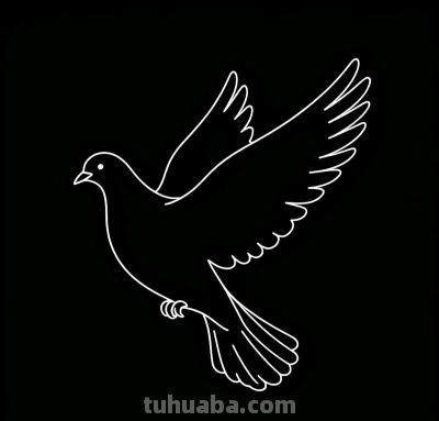 用简笔画开启孩子的想象力世界 小鸟飞翔 蝴蝶起舞 轻松学画 快乐成长 - 图画吧TUHUABA