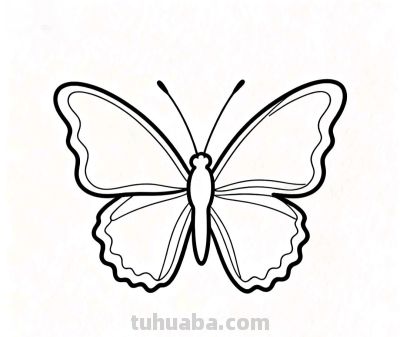 用简笔画开启孩子的想象力世界 小鸟飞翔 蝴蝶起舞 轻松学画 快乐成长 - 图画吧TUHUABA