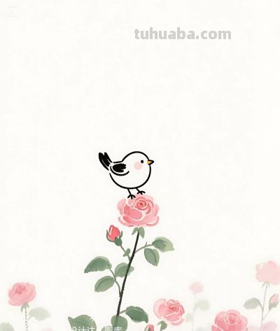 简笔画｜简约插画｜蔷薇花开和小鸟 - 图画吧TUHUABA