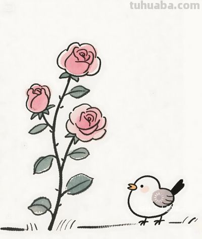 简笔画｜简约插画｜蔷薇花开和小鸟 - 图画吧TUHUABA