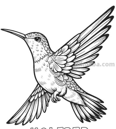 34种鸟类手绘线稿图，临摹学画 - 图画吧TUHUABA