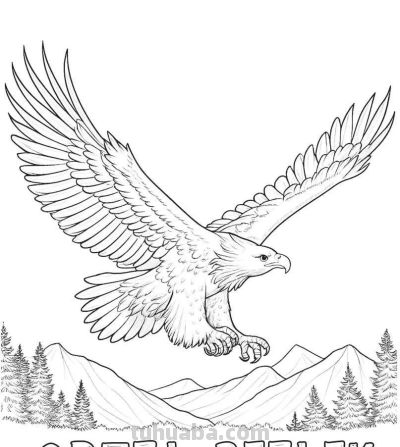 34种鸟类手绘线稿图，临摹学画 - 图画吧TUHUABA