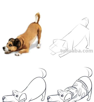 儿童简笔画素材（动物篇）： - 图画吧TUHUABA