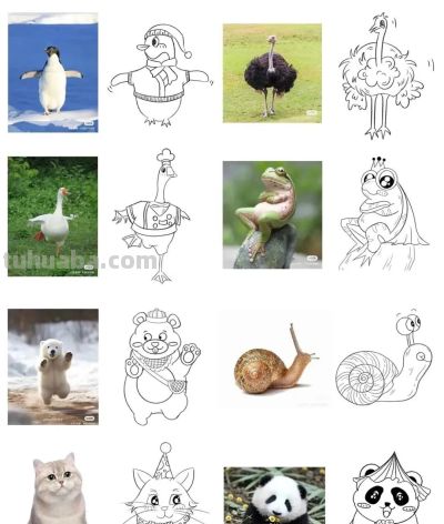 儿童简笔画素材（动物篇）： - 图画吧TUHUABA
