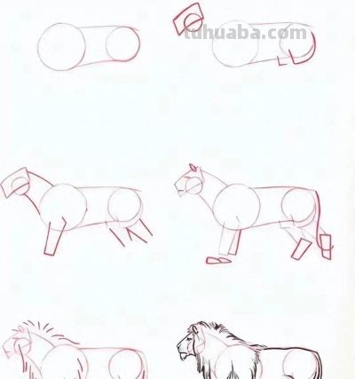 20种动物的简笔画教程，有手就能画 - 今日头条