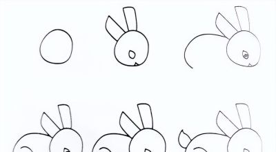 9种小动物简笔画教程图 - 图画吧TUHUABA