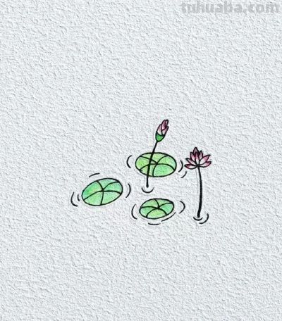 简笔画花草 喜欢画画的一定要收藏 - 今日头条 简笔画花草 喜欢画画的一定要收藏 - 图画吧TUHUABA