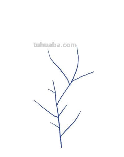 手绘植物 | 清新线描叶子绿植装饰简笔画 - 图画吧TUHUABA