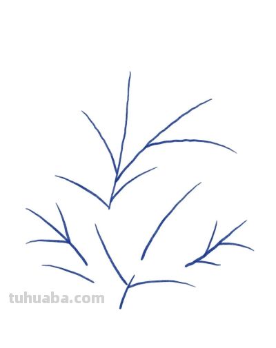 手绘植物 | 清新线描叶子绿植装饰简笔画 - 图画吧TUHUABA