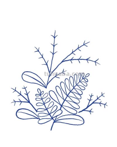 手绘植物 | 清新线描叶子绿植装饰简笔画 - 图画吧TUHUABA