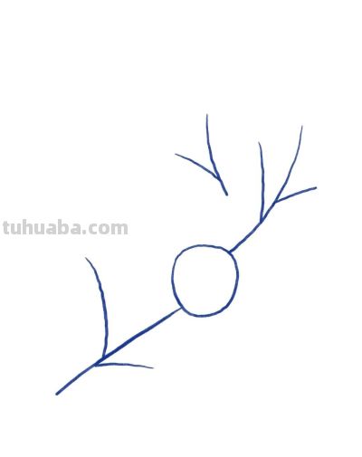 手绘植物 | 清新线描叶子绿植装饰简笔画 - 图画吧TUHUABA